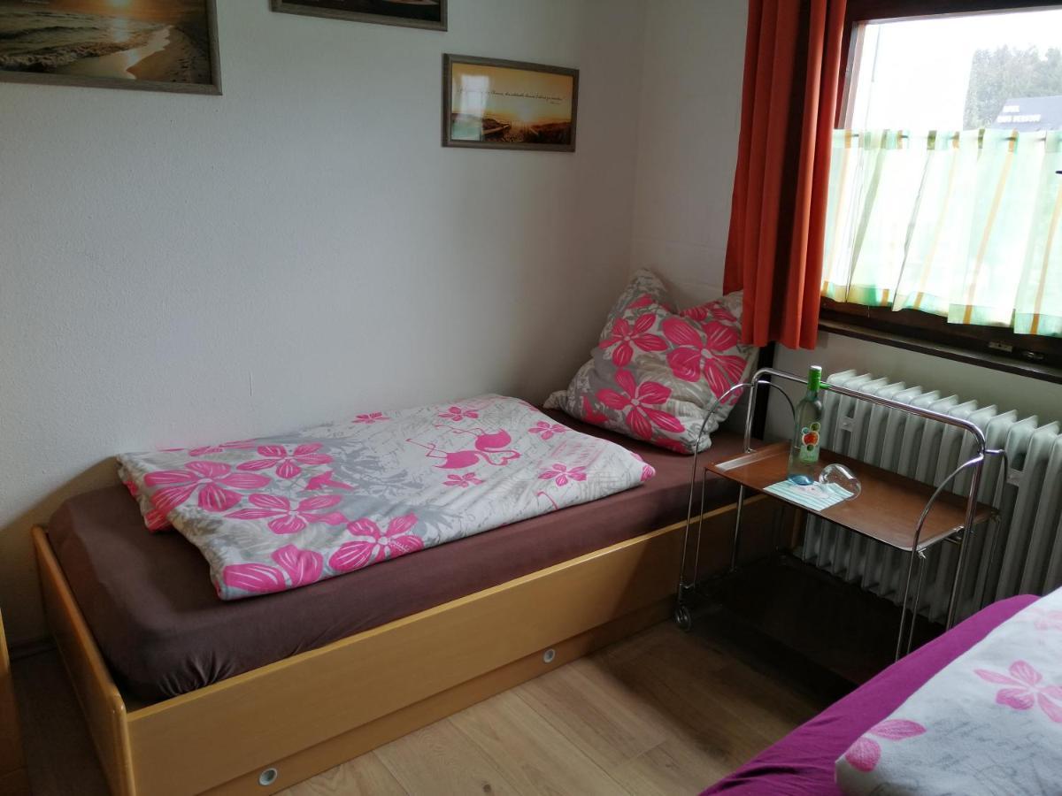 2 Raum Ferienwohnung Sonnenschein Sankt Englmar Exteriér fotografie